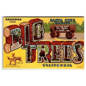 Greetings from Big Trees Park Santa Cruz CA Linen Postcard 1940s Deer
